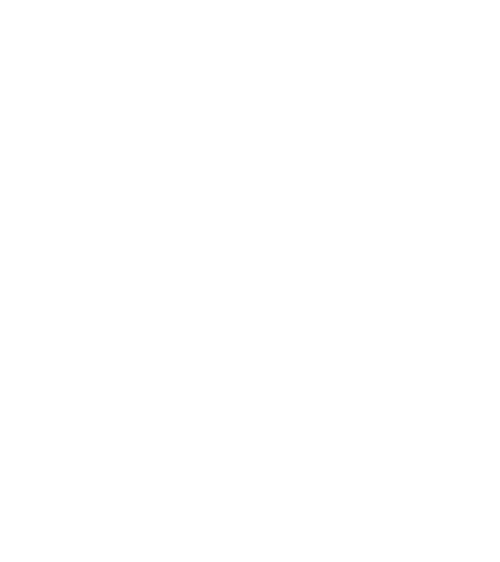 Holi Editions